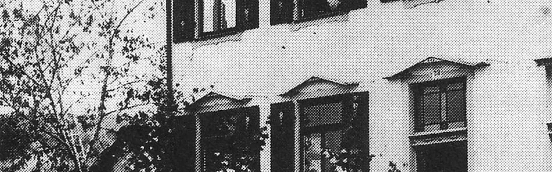 Startseite-fröscher-Geschichte