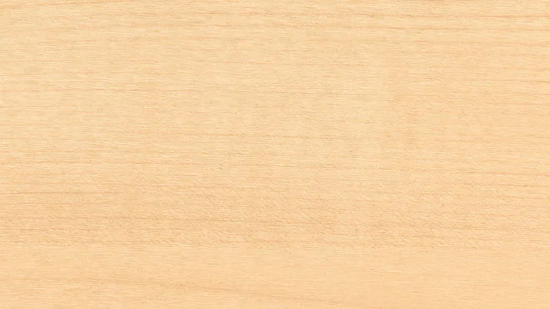 Materialien-Holz-Holzgruppe 1-Holzdekor-Ahorn