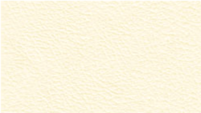 Leather cover group 26-leather-white