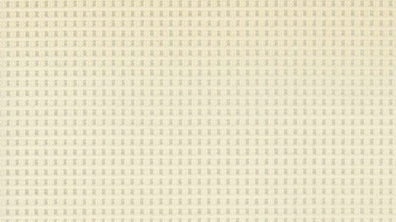 Material-special-net-back-net-fabric-special-cream