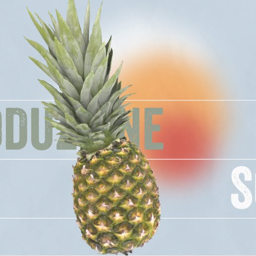 A pineapple graphic