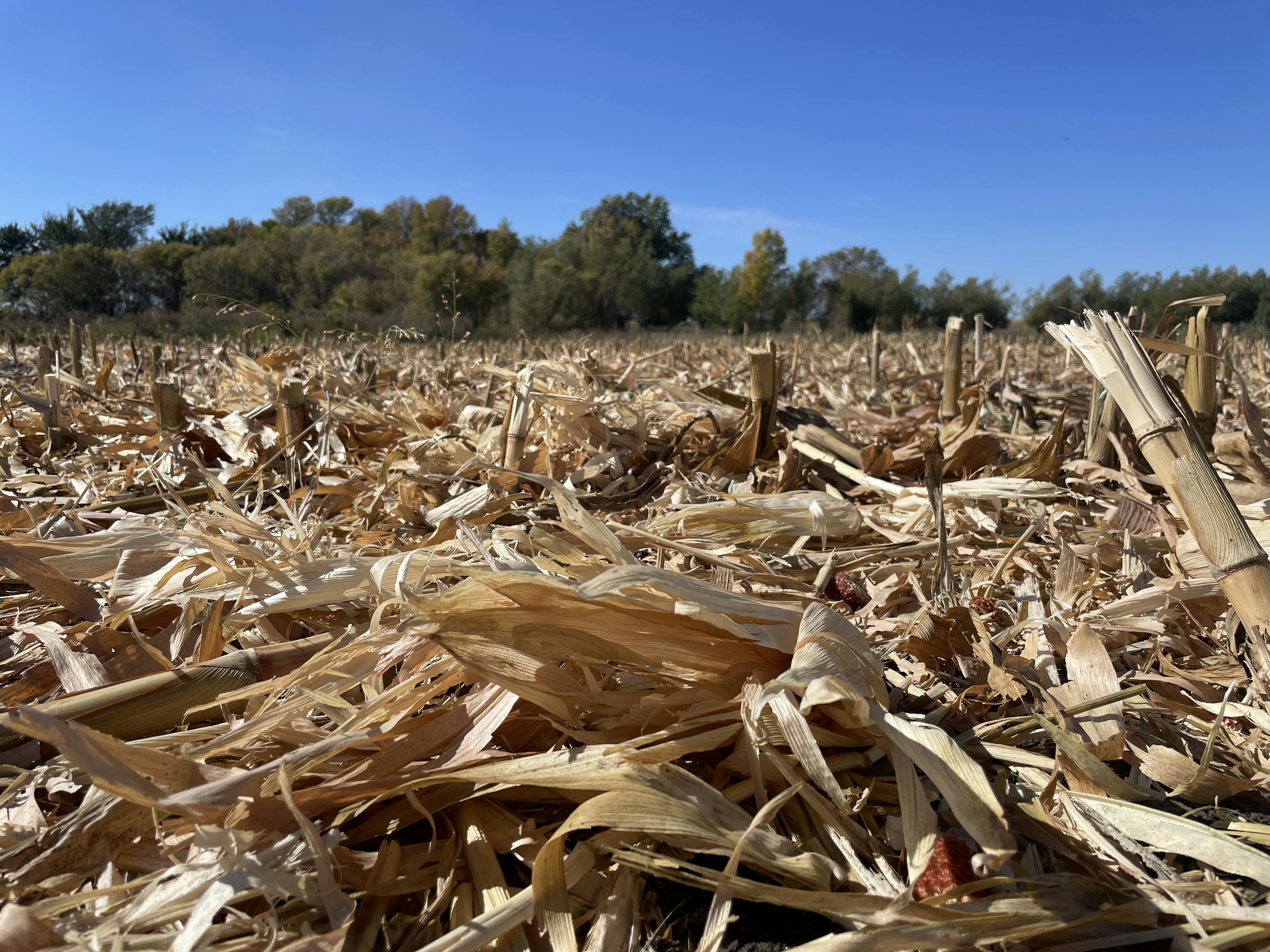 More reliable mode of action