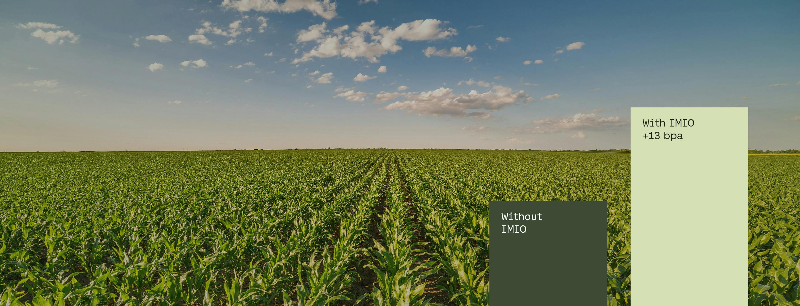 Crop background field