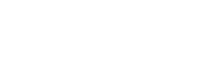 Fundación Natalí Dafne Flexer