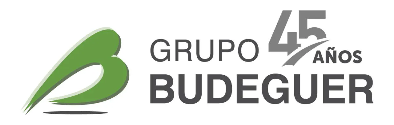 Grupo Budeguer