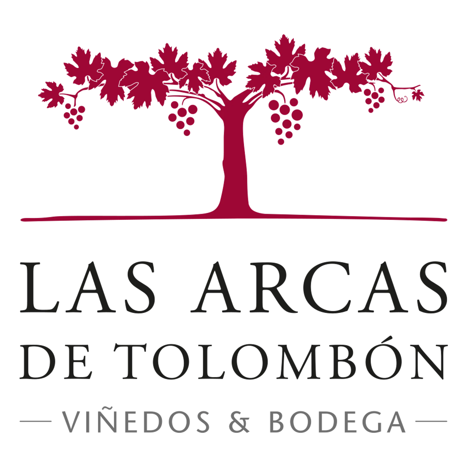 Las Arcas de Tolombón