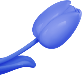 NFT - Natalí Flexer Token