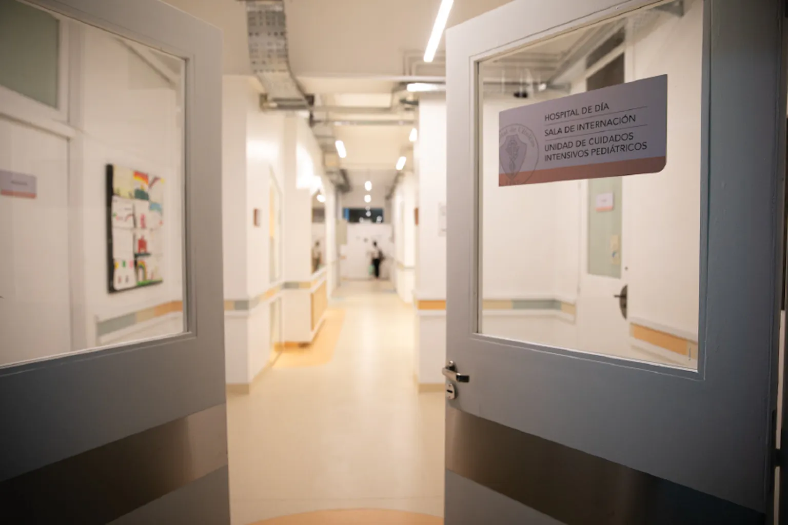 Fundación Natalí Dafne Flexer