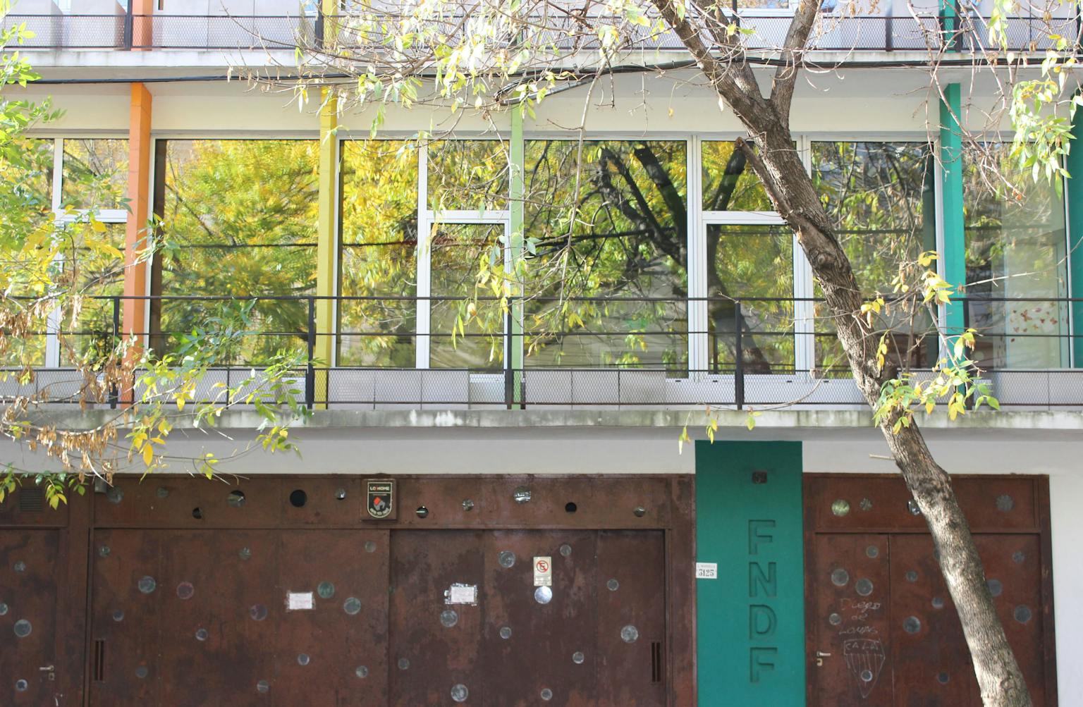 Fundación Natalí Dafne Flexer