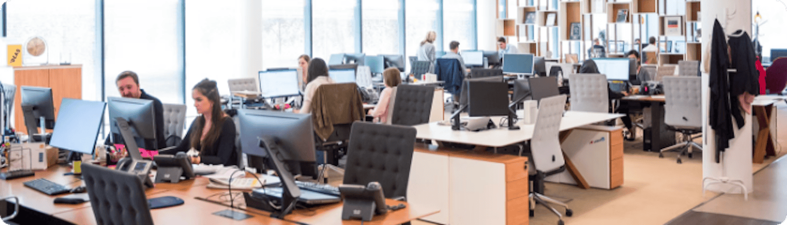 Fundación Natalí Dafne Flexer