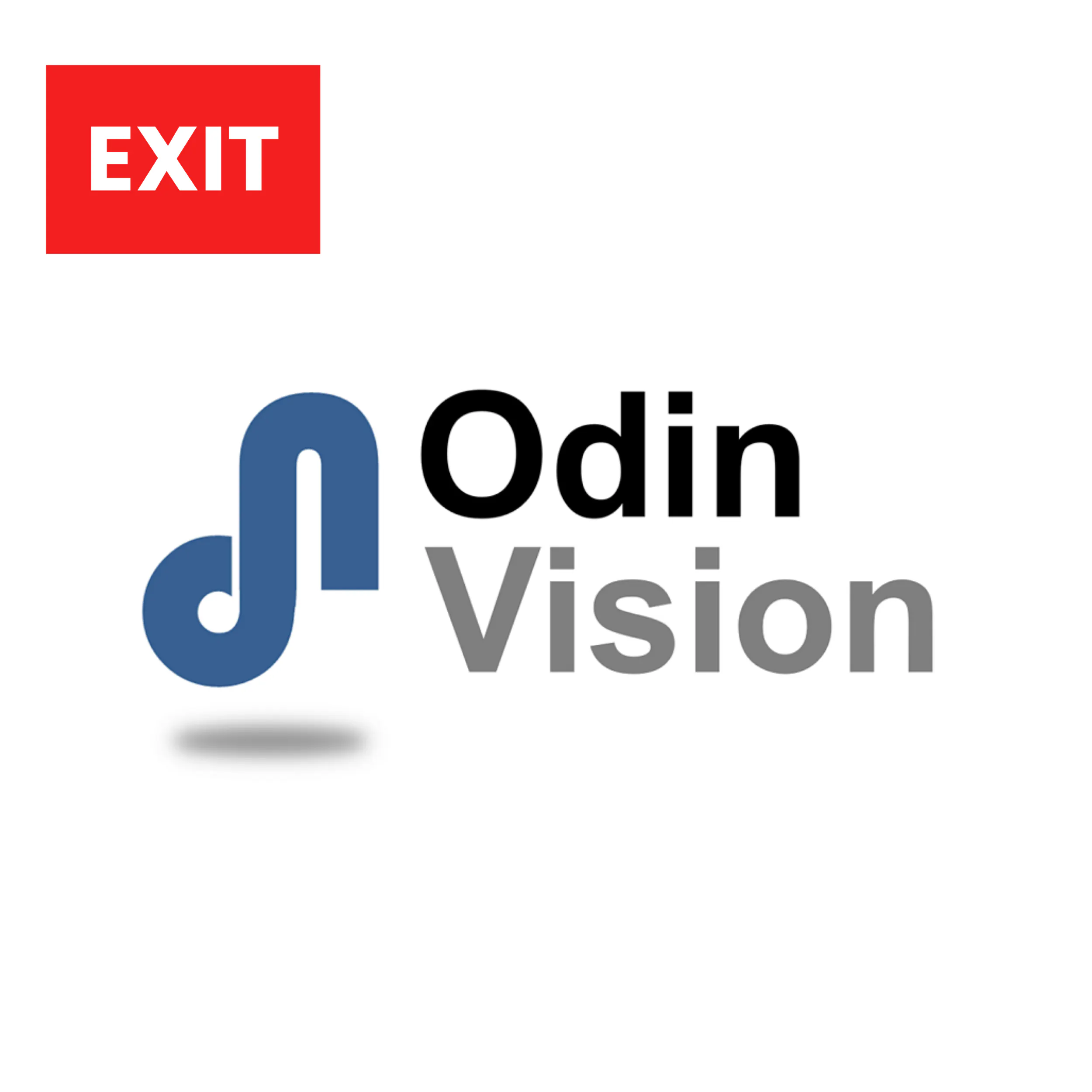 Odin Vision logo
