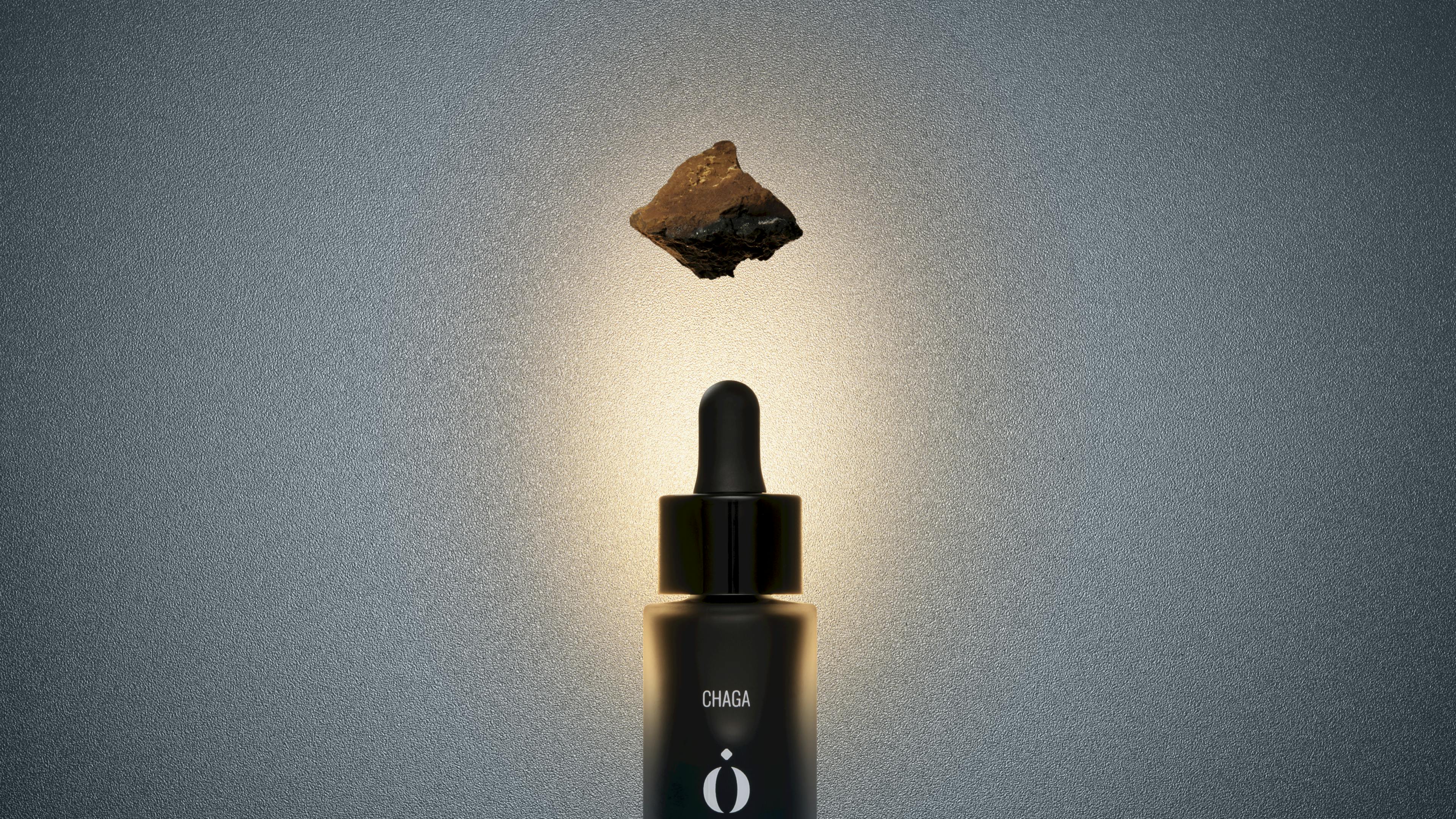 fungastique - élixir chaga biologique fond sombre