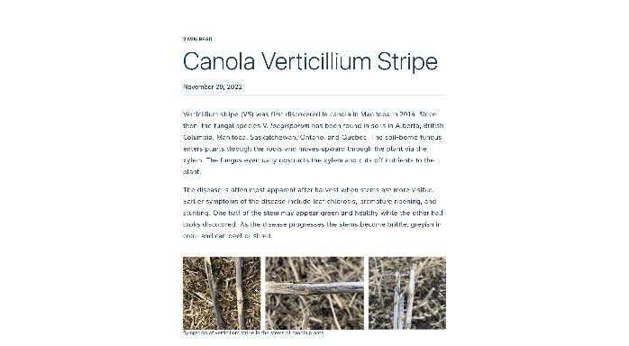 Tablet displaying an article titled "Canola Verticillium Stripe."
