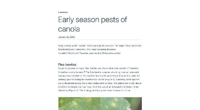  Tablet displaying an article titled "Early season pets of canola."