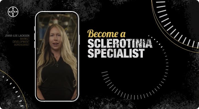 Tablet displaying a video screenshot, featuring a Bayer Market Development Agronomist. The video title is "Become a Sclerotinia Specialist."