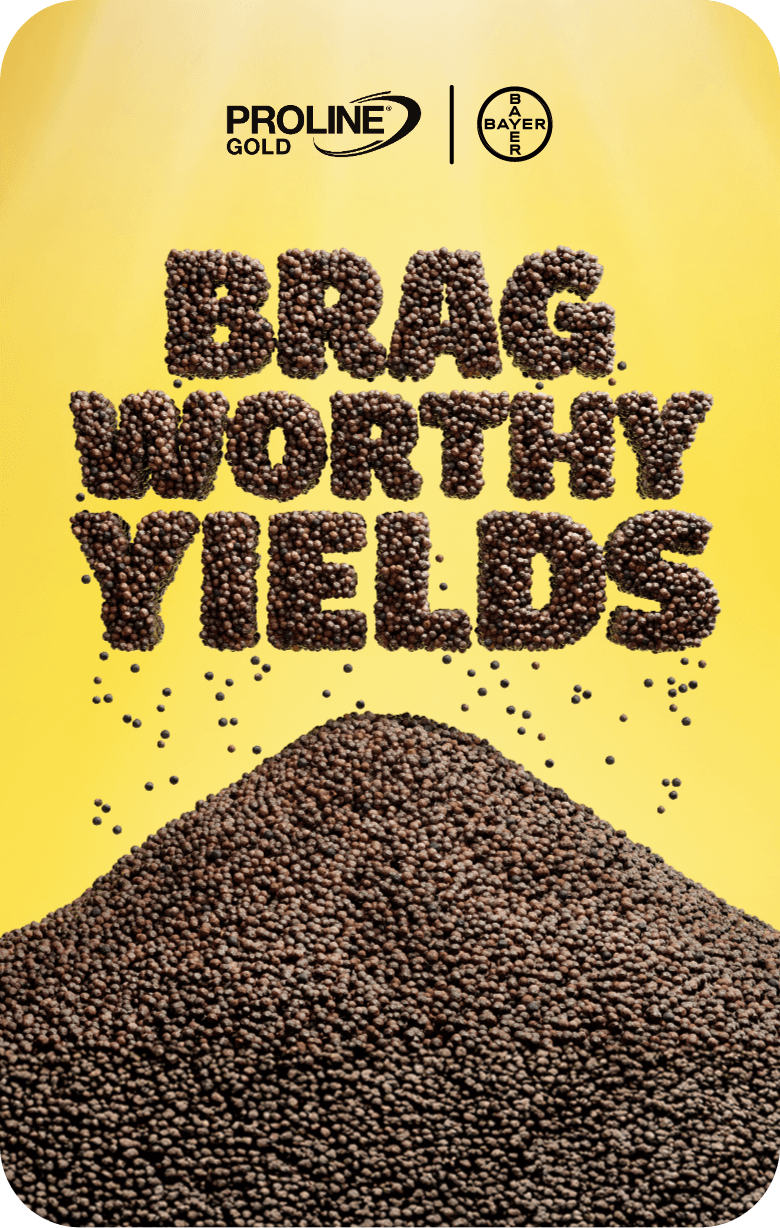 Image of canola seeds forming the words "Brag Worthy Yields" above a pile of seeds, set against a yellow background.