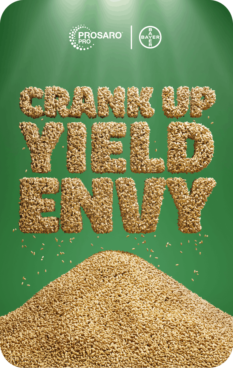 The phrase 'CRANK UP YIELD ENVY' formed with wheat seeds, above a pile of wheat seeds against a green background.