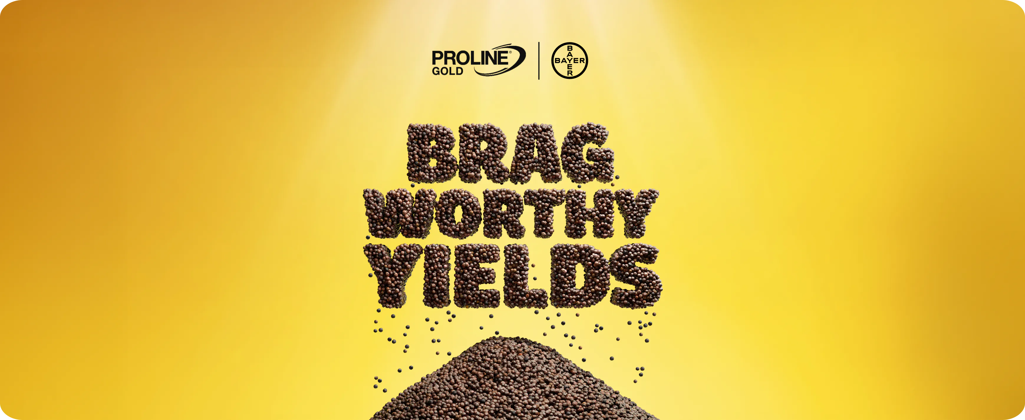 Image of canola seeds forming the words "Brag Worthy Yields" above a pile of seeds, set against a yellow background.