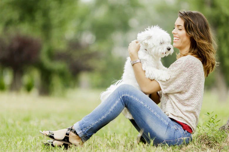 Dogs hugging with Human