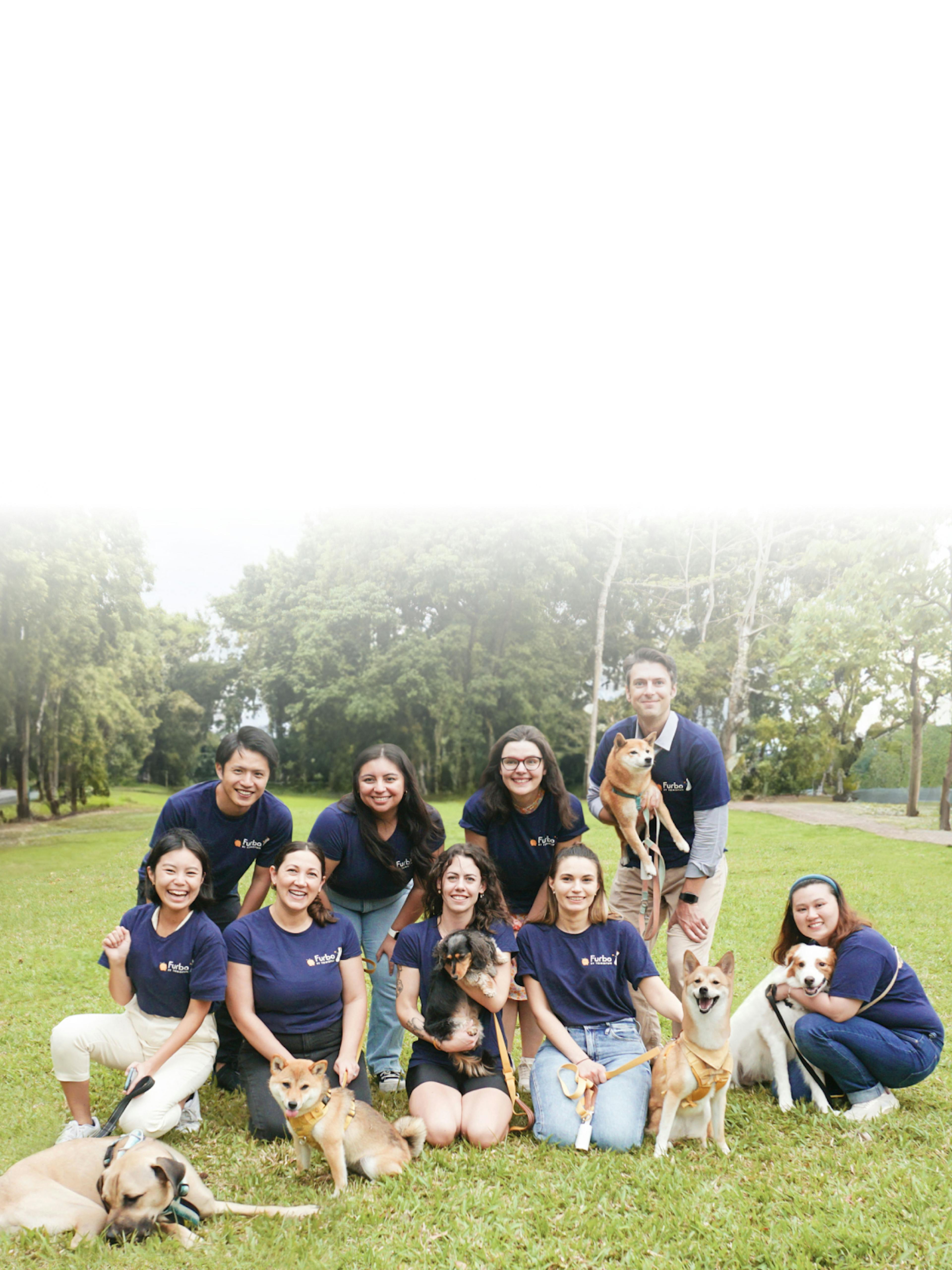 En Furbo, creemos que todos los perros merecen un hogar amoroso.