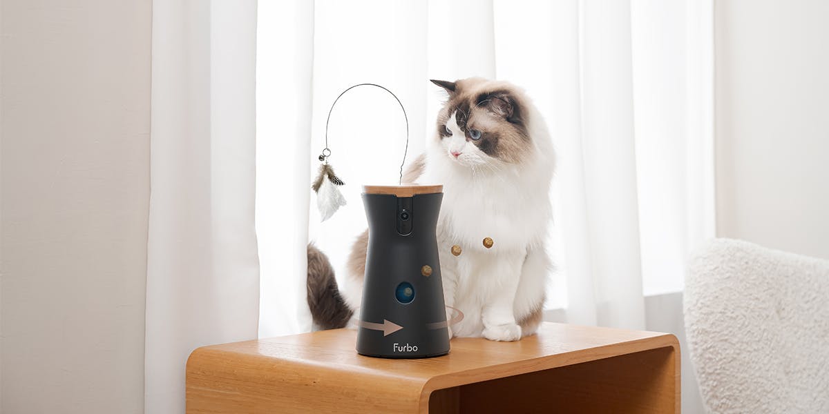 Brown and white cat sitting next to the Furbo 360 Cat Camera