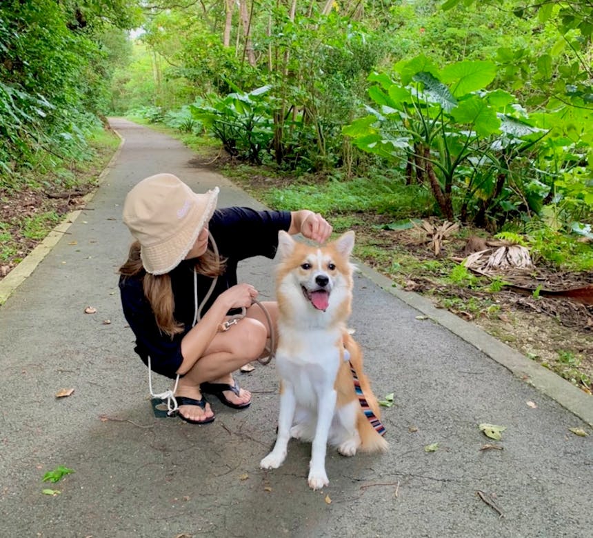 保護犬里親