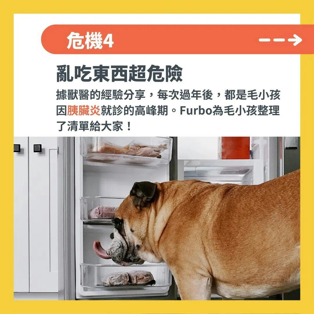 狗狗亂吃東西