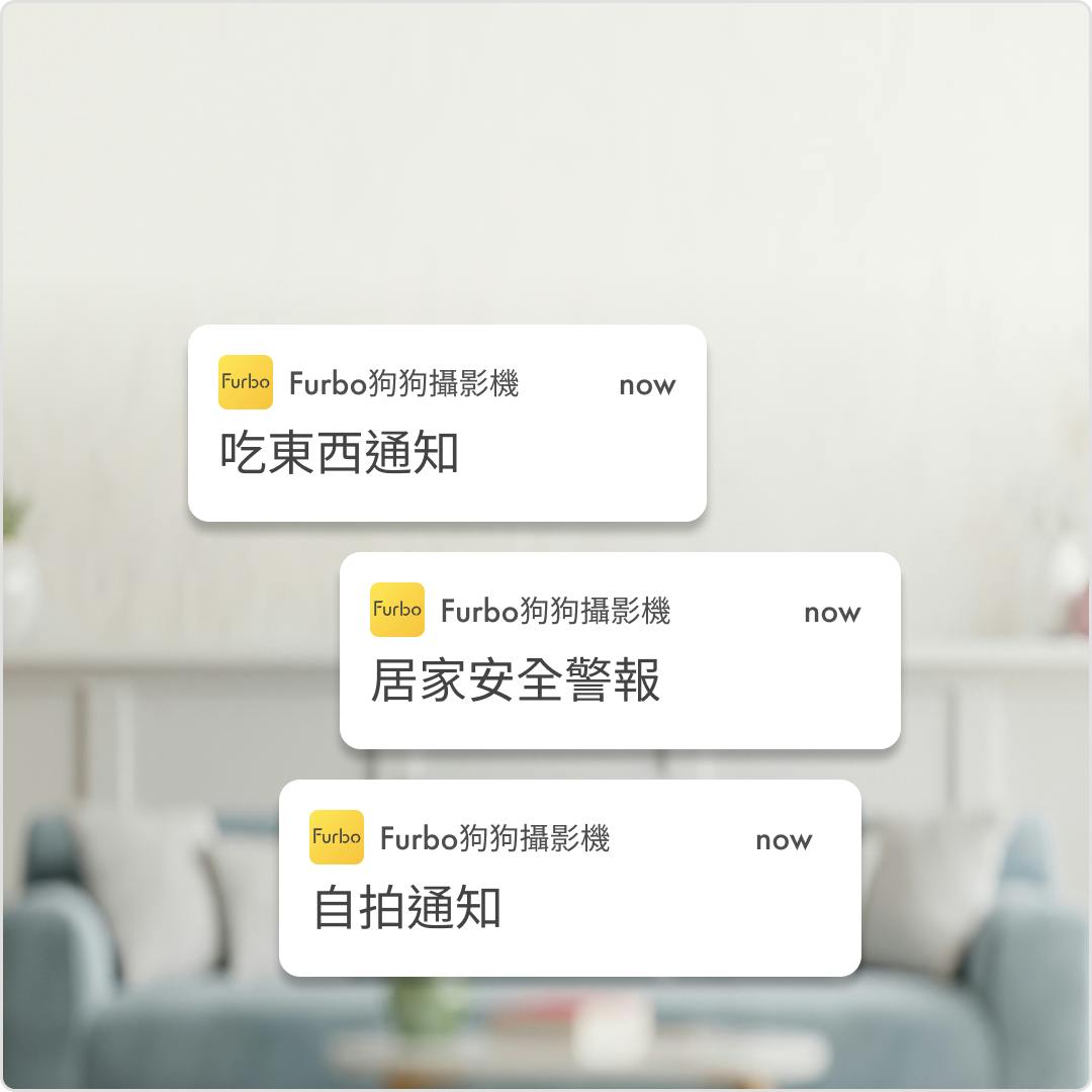 狗狗獨自在家時，任何事都有可能發生。讓Furbo狗保姆幫你照顧毛小孩，他在家哭哭、跑跑、吃東西，或是任何緊急的突發狀況，都能即時通知你