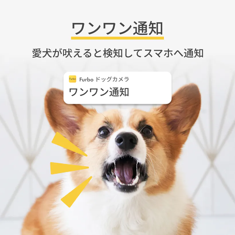 未開封】Furbo 重苦しく 2 ファーボ ドッグカメラ AI搭載 wifi 旧型