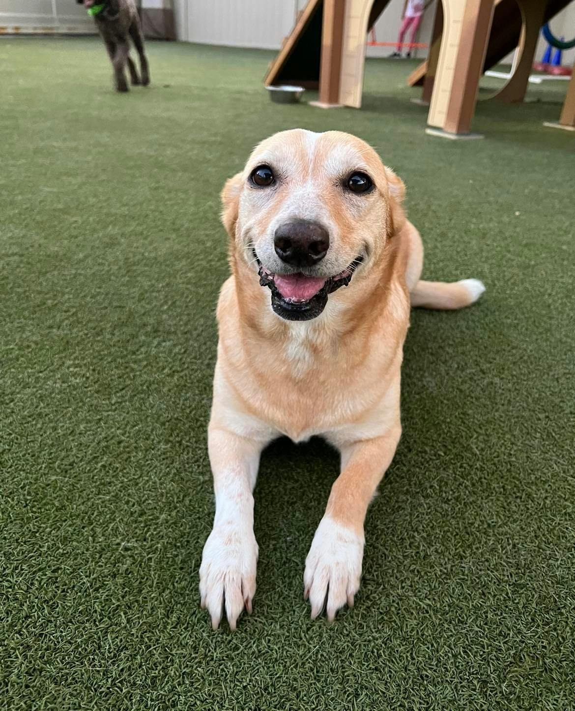 Ellie smiling