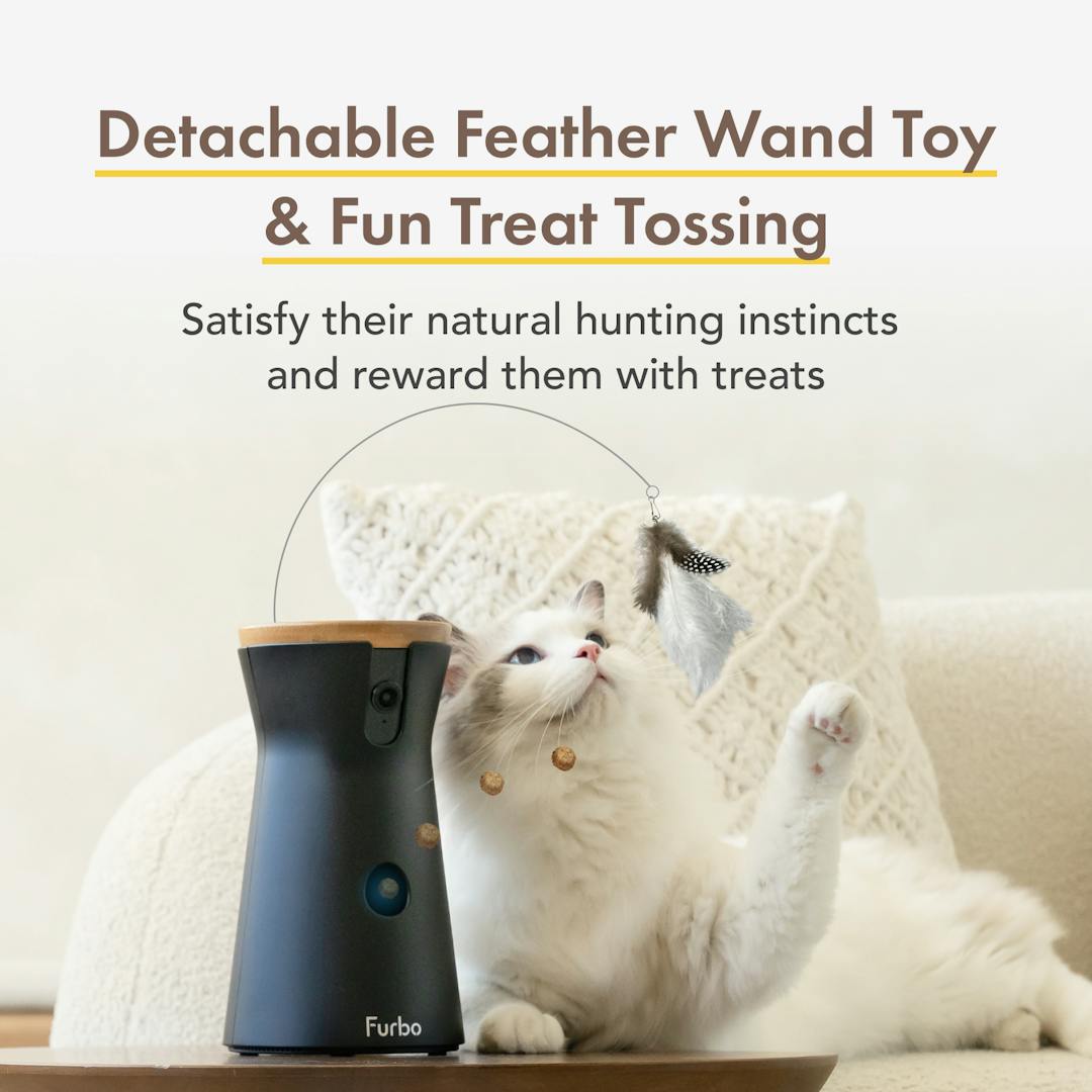 Furbo Cat Camera｜Pet Camera designed specifically for cats
