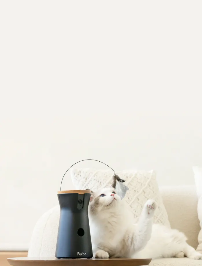 New Furbo Cat Camera|Keep your cat safe and happy with Rotating 360 ...