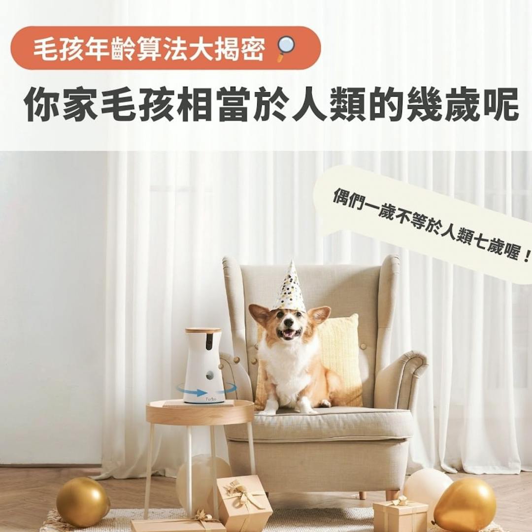 毛孩年齡算法