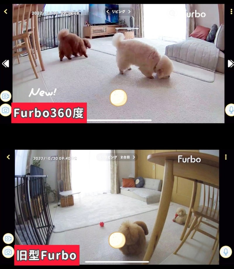ドッグカメラFurbo(ファーボ)レビュー！新型360°ビューと旧型を比較！