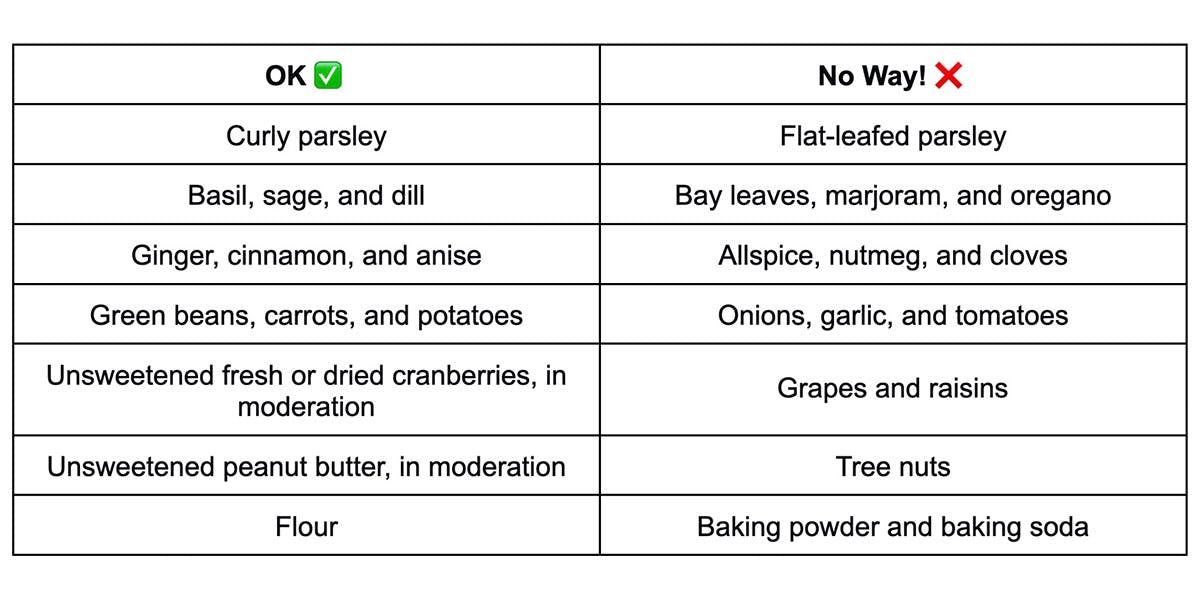 A table with food that is safe for dogs and food that is dangerous for dogs