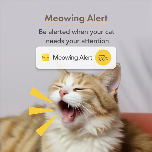 Furbo Cat Camera|Pet Camera designed specifically for cats