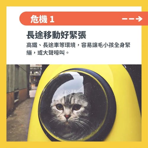 長途移動緊張