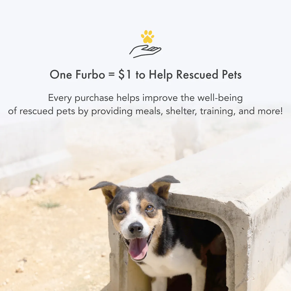 Furbo Mini｜Compact smart pet camera designed specifically for pets