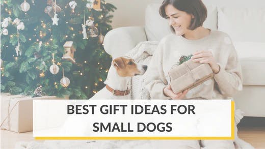 Christmas gifts for outlet small dogs