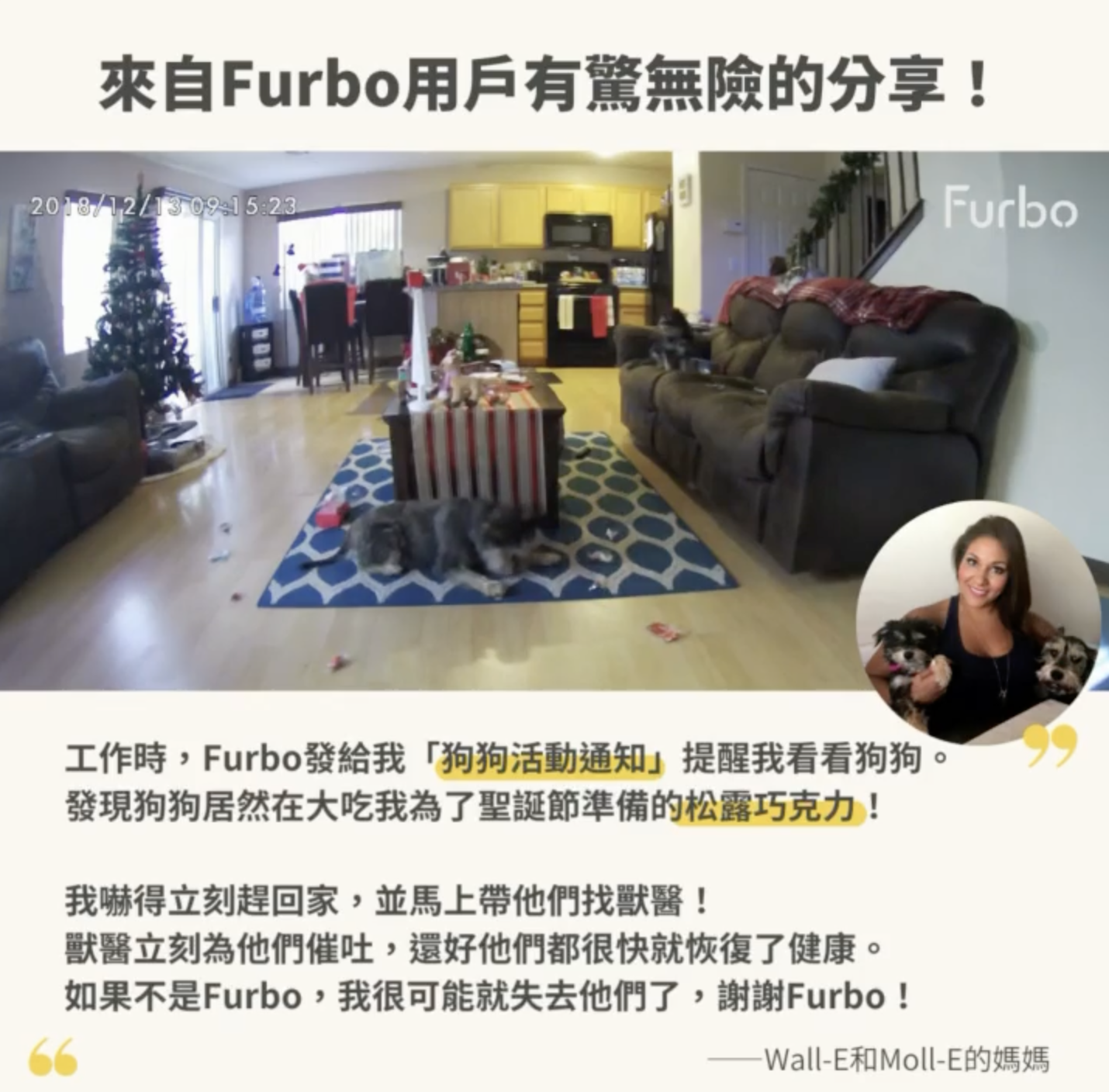Furbo真實案例