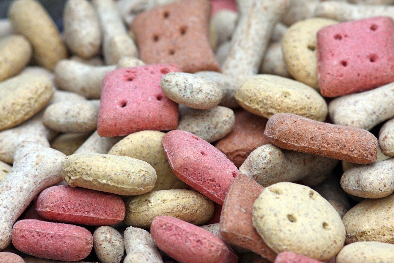 Best dog treats sales for furbo