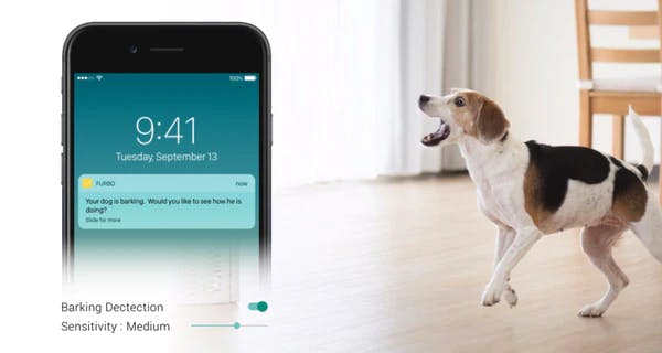 Phone showing barking alert, dog beside phone