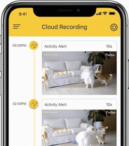 Cloud Recording in Furbo Dog Nanny