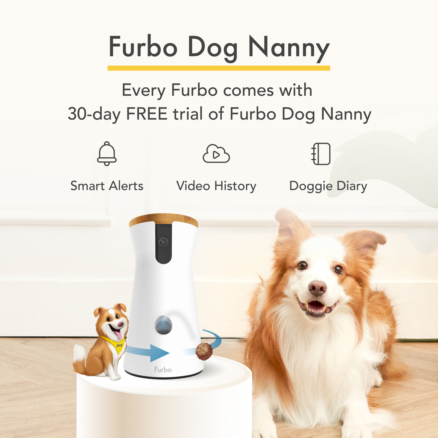 Furbo dog camera outlet with treat tossing technology