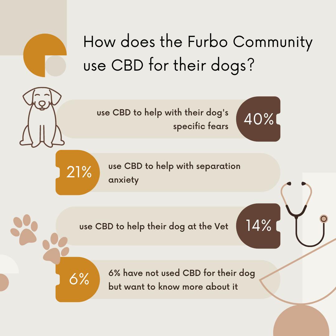 How does the Furbo community use CBD for their dogs?