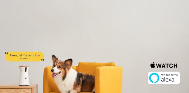 Furbo Dog Camera - La Super Cámara para los Perros - FUNNY DOGS FORMACIÓN  CANINA