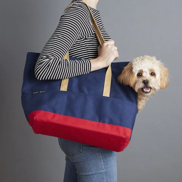 Dog carriers