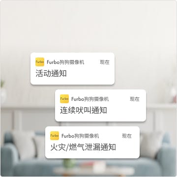 狗狗独自在家时，危险可能就在身边。 让Furbo爱宠管家帮你照顾毛孩子，他在家哭哭、嗷呜或是任何紧急的突发状况，都能即时通知你