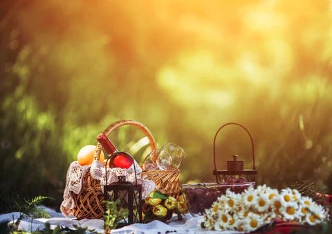 picnic image