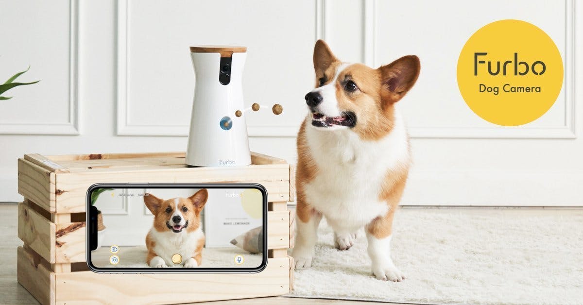 Furbo 360Â° Dog Camera | Treat-tossing Pet Camera with 360Â° view.